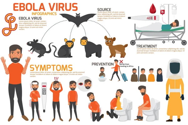 Desenho de detalhes ebola vírus sinal sintomas e prevenção infog — Vetor de Stock