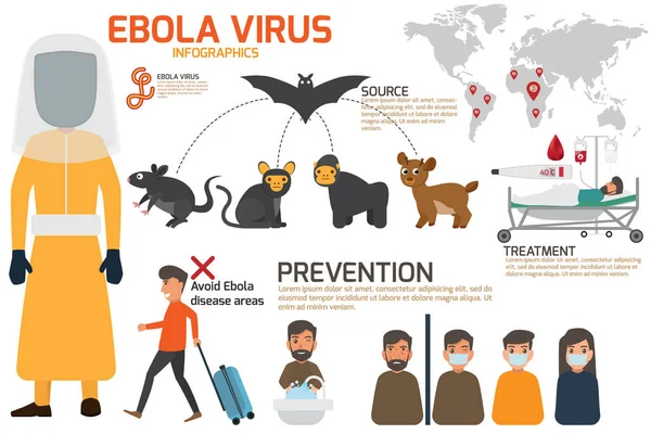 Desenho de detalhes ebola vírus sinal sintomas e prevenção infog — Vetor de Stock