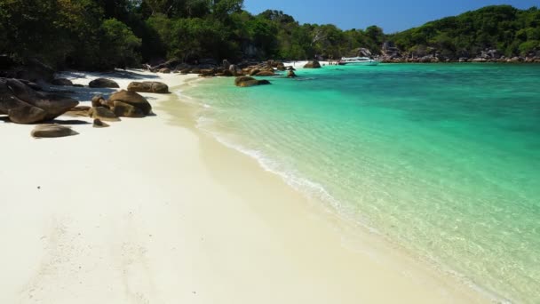 Images Rouleau Vue Aérienne Vagues Océan Plage Littoral Rocheux Belle — Video