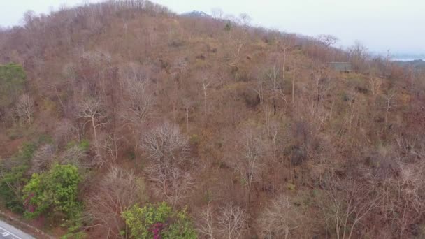 Montagne Che Sono Siccità Alberi Morti Video Vista Aerea Roll — Video Stock