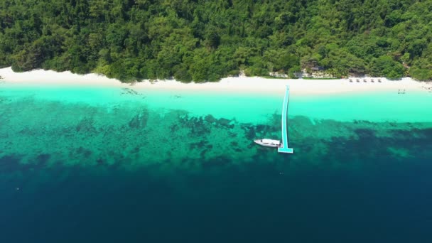 Nagranie Roll Widokiem Lotu Ptaka Fale Oceaniczne Plaża Skaliste Wybrzeże — Wideo stockowe