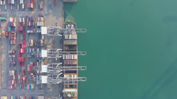 Hafen Aus Der Luft Containerfracht Verladeschiff Import Export Geschäft Logistik — Stockvideo