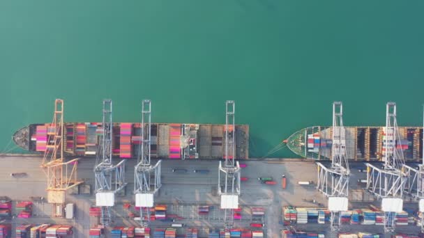 Vue Aérienne Port Conteneur Cargo Navire Chargement Dans Import Export — Video