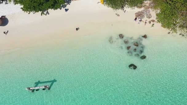 Images Rouleau Vue Aérienne Vagues Océan Plage Littoral Rocheux Belle — Video