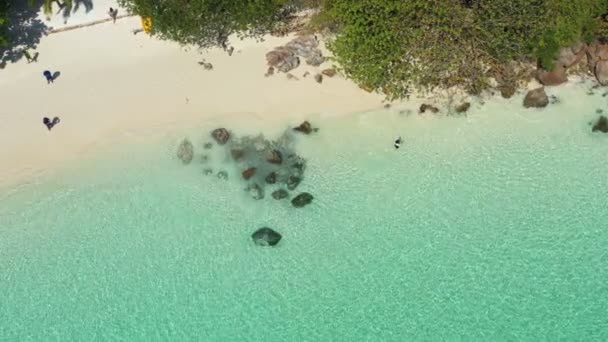 Filmagem Roll Ondas Vista Aérea Oceano Praia Costa Rochosa Bela — Vídeo de Stock