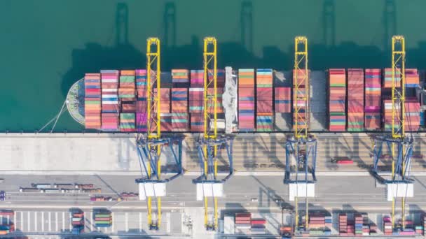 Hyperlapse Zeitraffer Luftaufnahme Eines Internationalen Hafens Mit Kranverladecontainern Import Export — Stockvideo