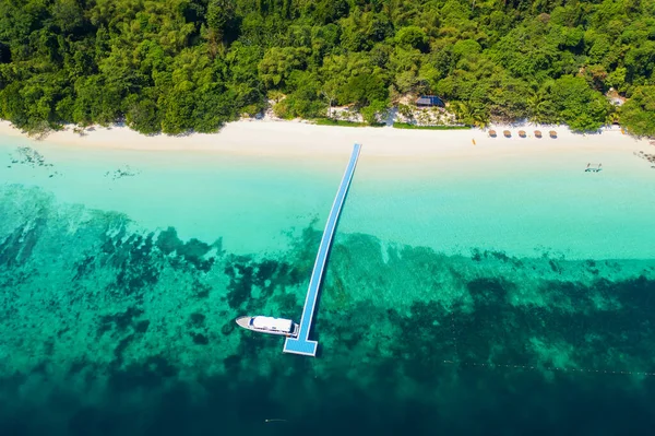 Widok Lotu Ptaka Fale Oceaniczne Plaża Skaliste Wybrzeże Piękny Las — Zdjęcie stockowe