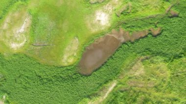 İklim değişikliği konseptinin hava görüntüsü B rulosu. Kuru göl ve iklim değişikliği üzerinde uçan sinek dronu. Nehrin kuraklığına küresel ısınma neden oldu. Kamera B, 4k sahnesi..