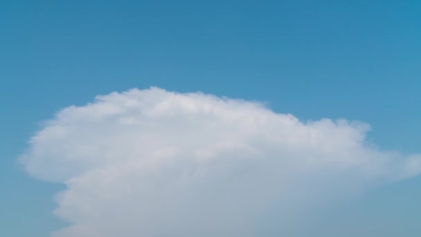Bewegende Wolken Bouwen Gezwollen Pluizig Witte Wolken Hemel Tijd Verval — Stockvideo