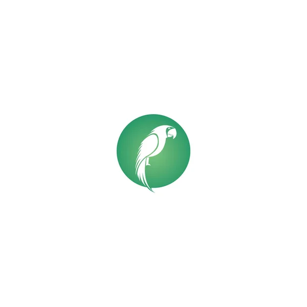 Papagáj Vektor Logo Design Színes Papagáj Madárlogó Tervezés — Stock Vector