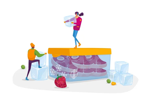 冬服のアイスキューブを持つ小さな男性と女性のキャラクターは、冷凍肉と巨大なコンテナの上に立つ。製品冷蔵,食品,新鮮なベリー,野菜.漫画人ベクトルイラスト — ストックベクタ
