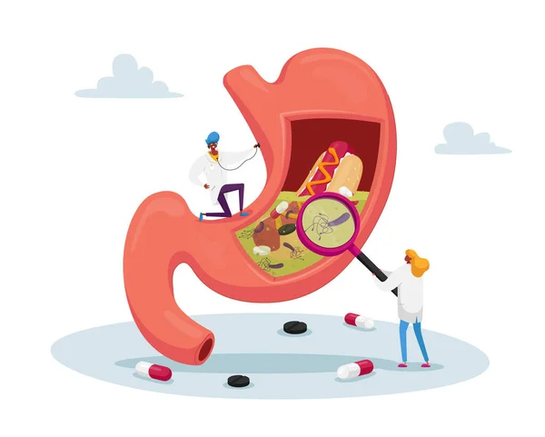 Gastroenterology Doctor Characters di Huge Stomach dengan Stethoscope dan Magnifier. Pengangkatan, Studi Medis Stomachache Penyebab Gastritis dan Penyakit Helicobacter. Ilustrasi Vektor Rakyat Kartun - Stok Vektor