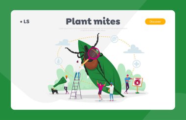 Ensefalit Mite, Kene Koruma İniş Sayfası Şablonu. Küçük Karakterler Tehlikeli Mite Arıyor Yaprakta Saklanıyor