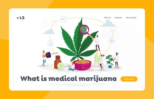 Marihuana Medicine Landing Page Template. Wetenschappers Karakters Het kweken van medische cannabis Het bereiden van homeopathische cannabis — Stockvector