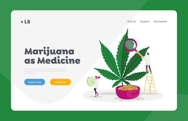 Gyógyszerészeti Cbd Oil Landing Page Sablon. A tudósok ellenőrzik a kendernövényeket és a magokat. Növényi alternatív gyógyászat — Stock Vector