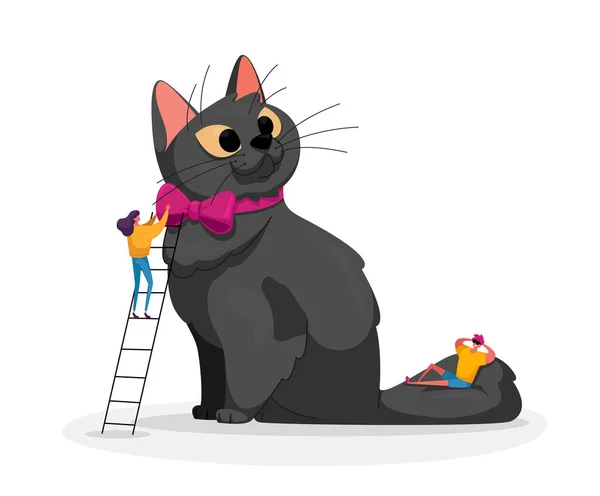 Mensen strelen van huisdier. kleine man vrouwelijke personages verzorging van reusachtige kat, vrouw staan op ladder jurk op nek stropdas op kitten — Stockvector
