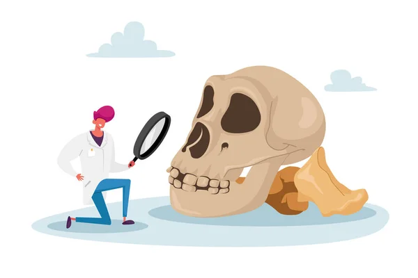 Ученый наблюдает через увеличительное стекло на огромном человеческом черепе. Антрополог работает над раскопками артефакта — стоковый вектор