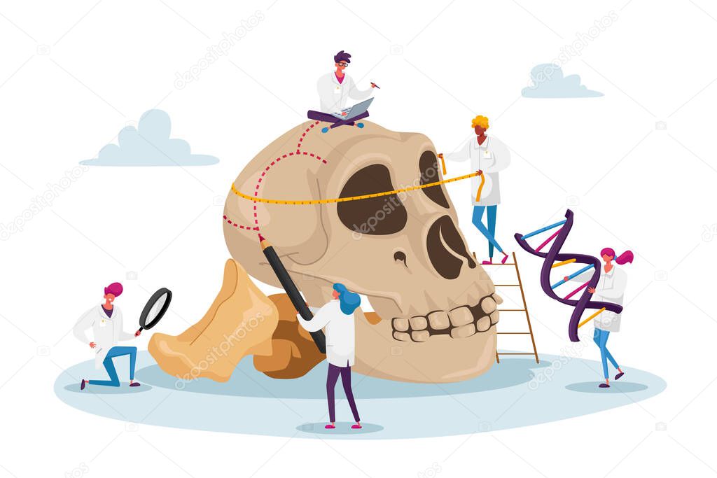 Anthropology Studying. Tiny Characters Measuring Huge Human Skull with Bones and Dna Spiral. Paleolithic Research