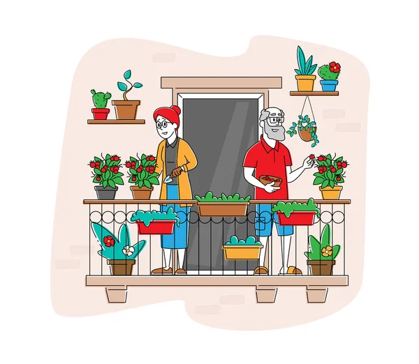 Starsze postacie cieszące się ogrodnictwo Hobby Praca na balkonie Ogród Pielęgnacja roślin i podlewania zieleni i warzyw — Wektor stockowy