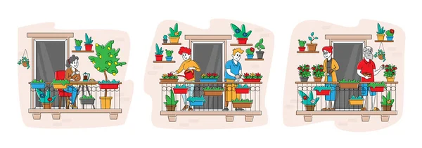 Set de Personajes Masculinos y Femeninos Cuidado de Plantas Caseras en Balcón Jardín Seniors Cosechando Tomates Maduros, Regando Flores — Vector de stock