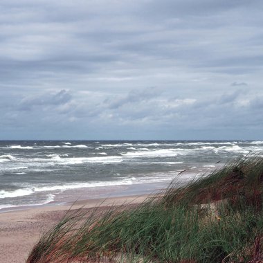 Kıyı bölgesi Spit, Unesco mirası, Curonian Spit, Litvanya. Kum tepecikli Curonian Tükürüğü.