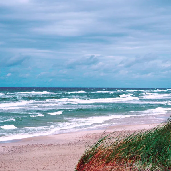 Kıyı bölgesi Spit, Unesco mirası, Curonian Spit, Litvanya. Kum tepecikli Curonian Tükürüğü.