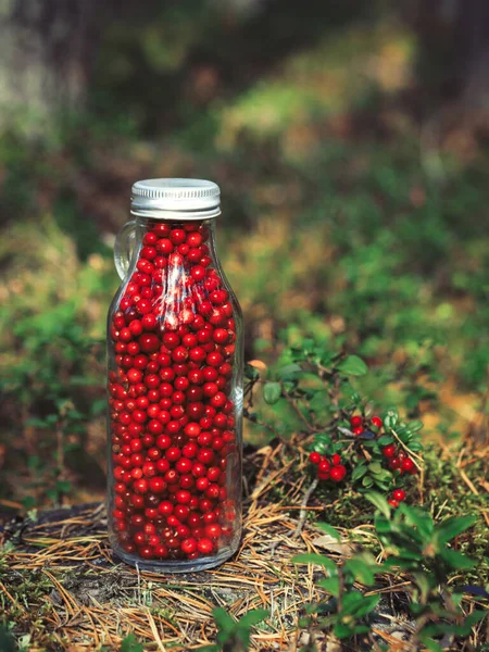 Ormandaki bir açıklıkta cam bir şişede taze yaban mersini. Şişe dolusu dut taze olgun kuzey yaban mersini. Sağlıklı gıda ve organik ürünler kavramı. Üst Görünüm.