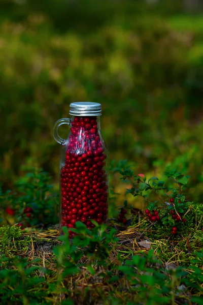 Lingonberry Segar Dalam Botol Kaca Pada Kliring Hutan Botol Penuh — Stok Foto