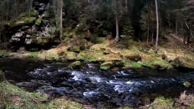 Saksonya milli parkında nehir