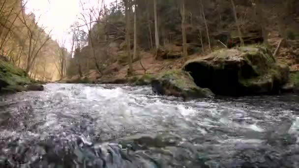 Rio Parque Nacional Saxonia — Vídeo de Stock