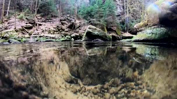 Rivière Dans Parc National Saxe — Video