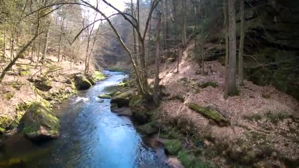 Rivière Dans Parc National Saxe — Video