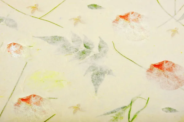 Kuru çiçek ve yaprak dokusu ile Mulberry Kağıt arka plan