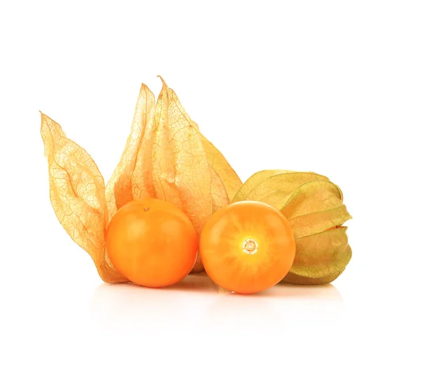 Cape karviainen (physalis) eristetty valkoisella pohjalla — kuvapankkivalokuva