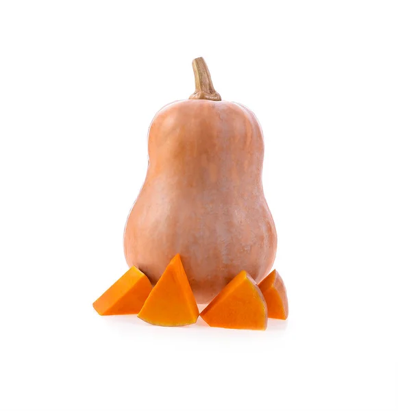 Pumpkin butternut  on white background — Stock Photo, Image