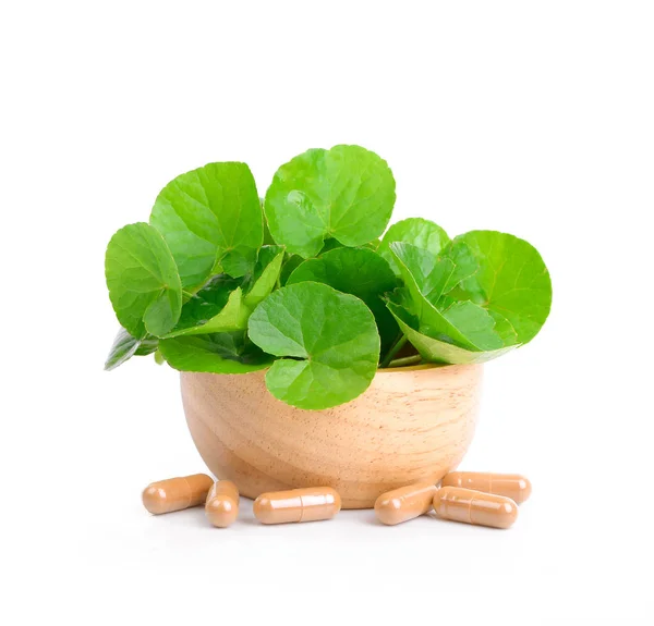 Wood bowl centella Asiatica, beyaz arka plan.