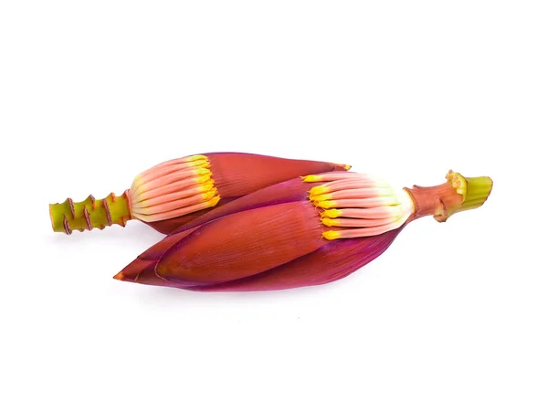 Muz çiçeği / çiçek ve beyaz arka plan üzerinde olgun muz.