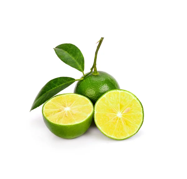 Fresh lime slice with leaf on white background — Stock Photo, Image