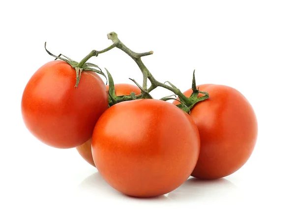 Tomat Diisolasi Pada Latar Belakang Putih — Stok Foto