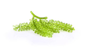 Deniz üzümleri (yeşil havyar) deniz yosunu, sağlıklı yiyecekler. beyaz arkaplan.