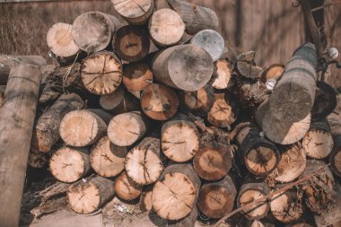 Yakın kesim ağaçlar, kütük kabinler, günlükler bir demet yalan