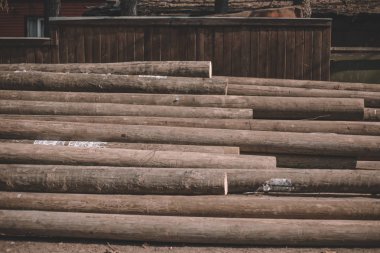 Kesme ağaçları, kütük kabin, günlükleri bir demet yalan