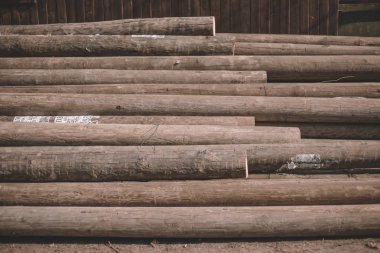 Kesme ağaçları, kütük kabin, günlükleri bir demet yalan