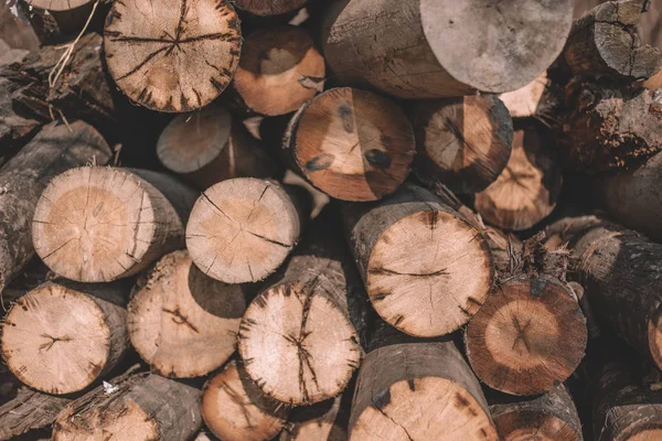 Close-up cut trees, log cabins, logs lie a bunch — Stock Photo, Image