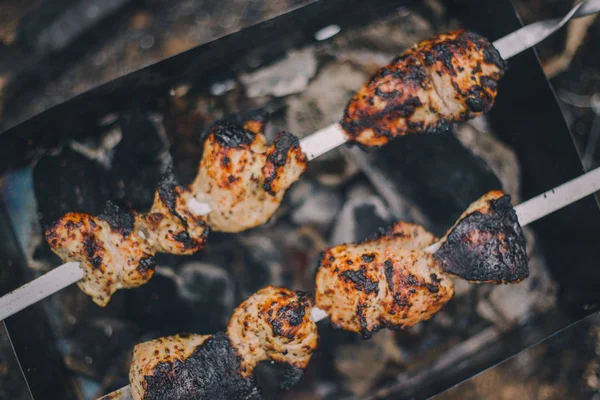 Close-up barbacoa shashlik cerdo en la parrilla en la naturaleza —  Fotos de Stock