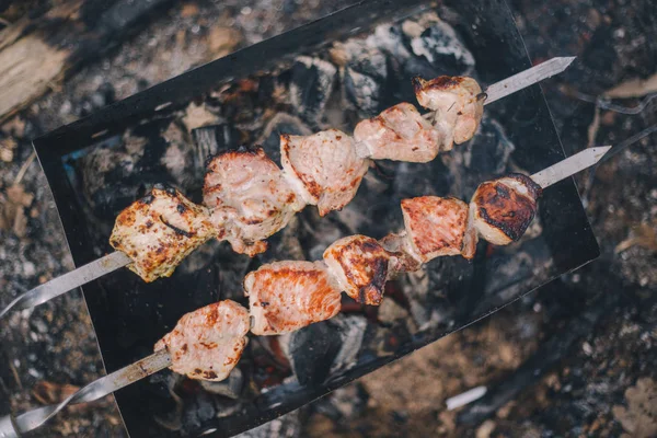 Close-up barbacoa shashlik cerdo en la parrilla en la naturaleza —  Fotos de Stock