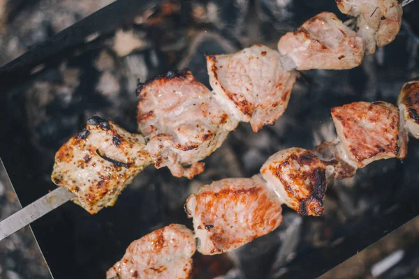 Close-up barbacoa shashlik cerdo en la parrilla en la naturaleza —  Fotos de Stock