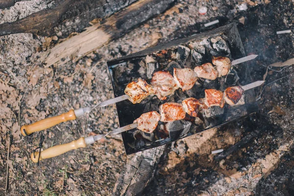 Close-up barbacoa shashlik cerdo en la parrilla en la naturaleza —  Fotos de Stock