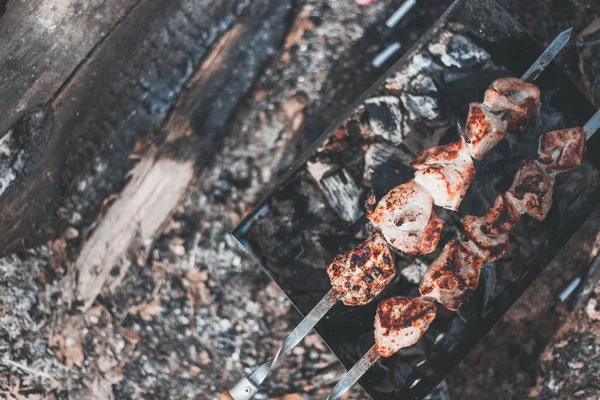 Close-up barbacoa shashlik cerdo en la parrilla en la naturaleza —  Fotos de Stock