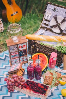 Doğada yakın tasarım yaz piknik. Ekose üzerinde bir baske olduğunu